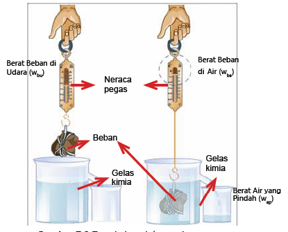 sains: Praktikum Percobaan Hukum Archimedes