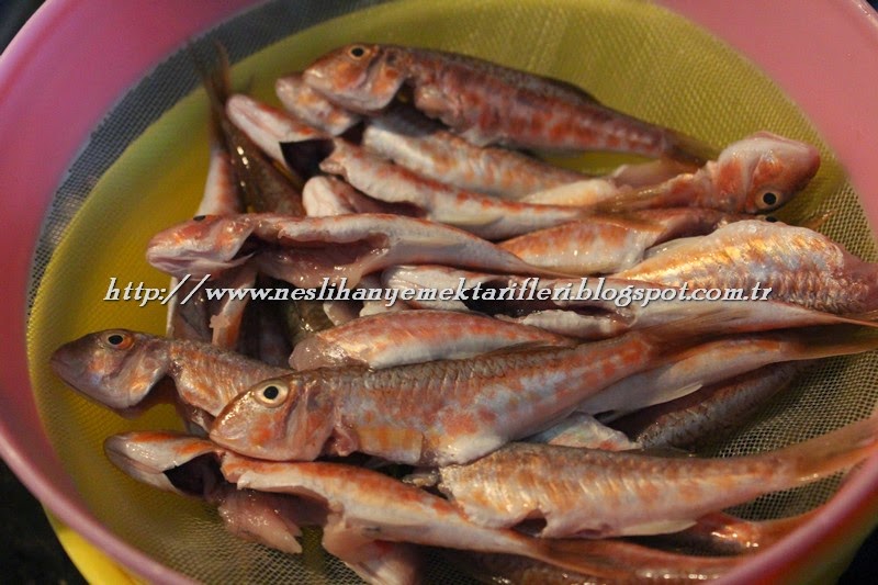 MISIR UNLU BARBUN BALIĞI KIZARTMASI TARİFİ Neslihan Yemek Tarifleri