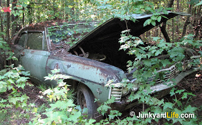 The green 2 door post car is hard to spot among the plant life.