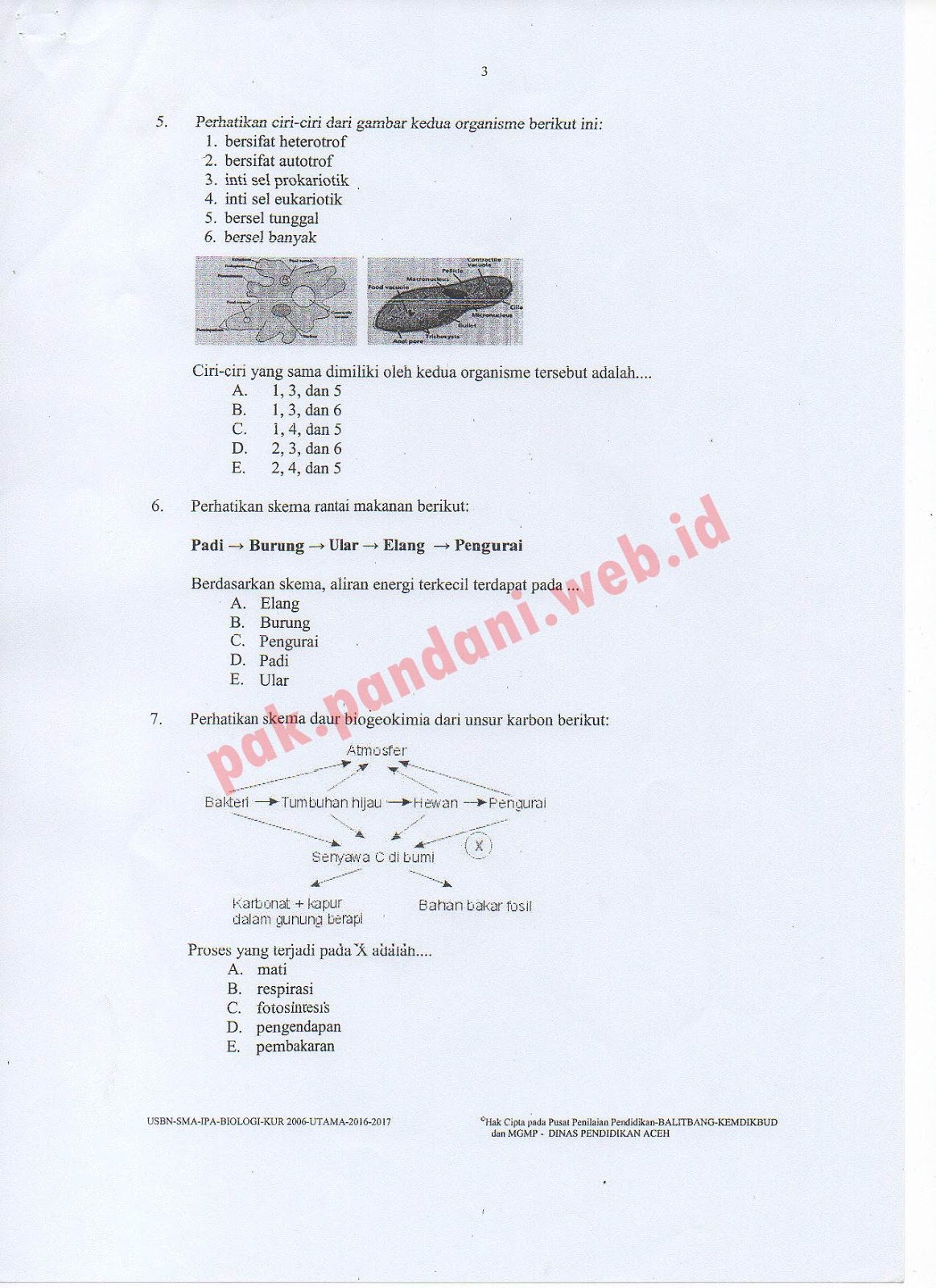 10+ 40 Soal Uasusbn Biologi Smama Lengkap Pics