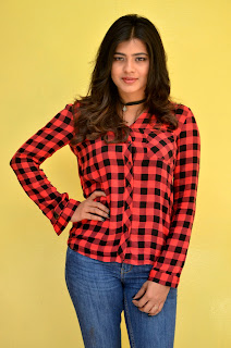hebah patel at nnnbf success meet hebah patel at nnnbf success meet
