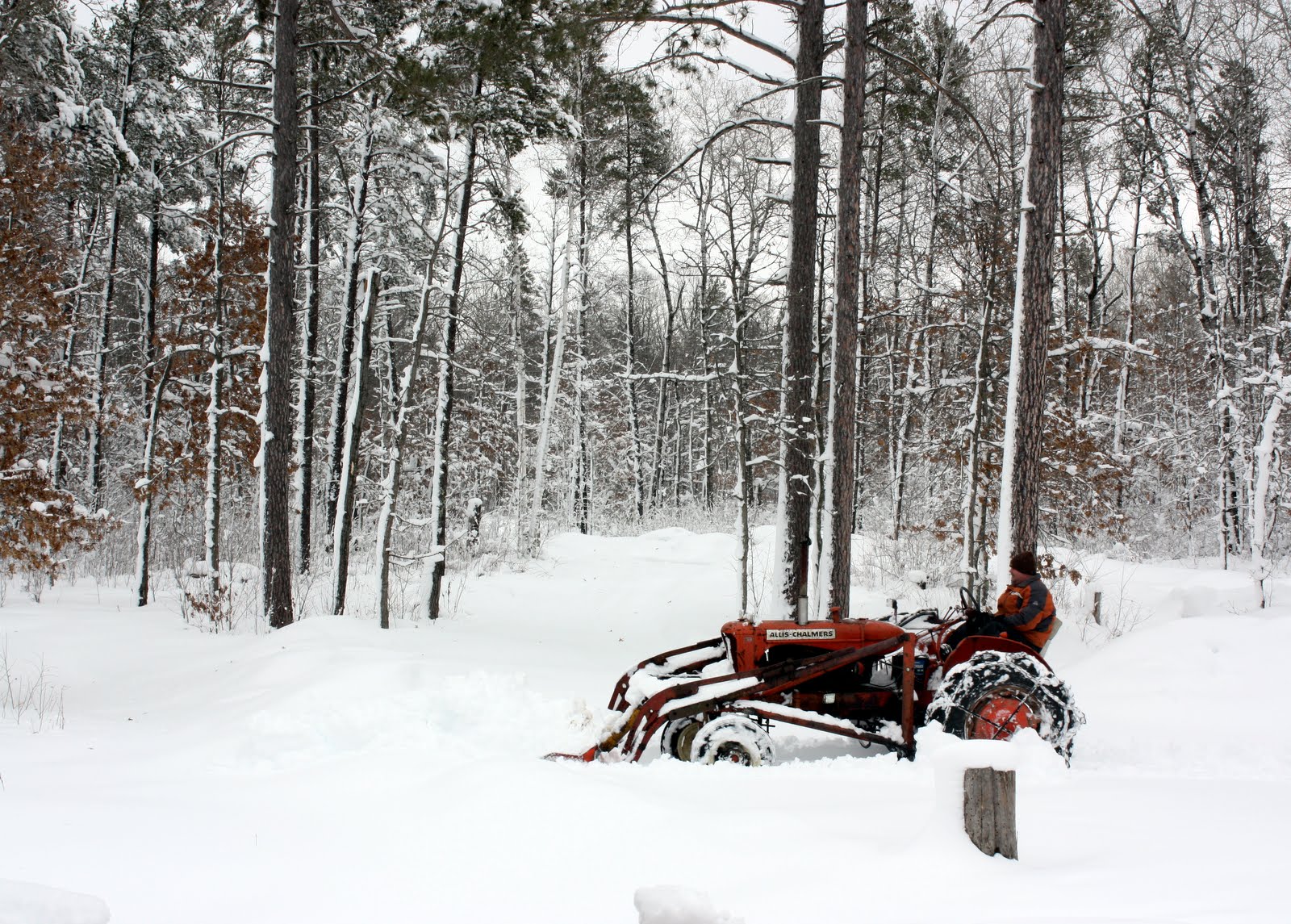 lil fish studios just a little sick of snow