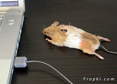 14-Unusual-Computer-Mouse-Designs-011-768982.jpg