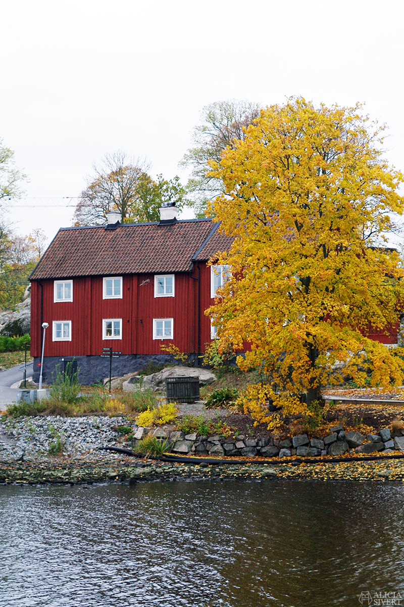 Autumn walk at Djurgården, Stockholm. Photo by Alicia Sivertsson. aliciasivert alicia sivert alicia sivertsson höst autumn djurgården stockholm oktober october promenad walk yellow leaf leaves gula löv blad