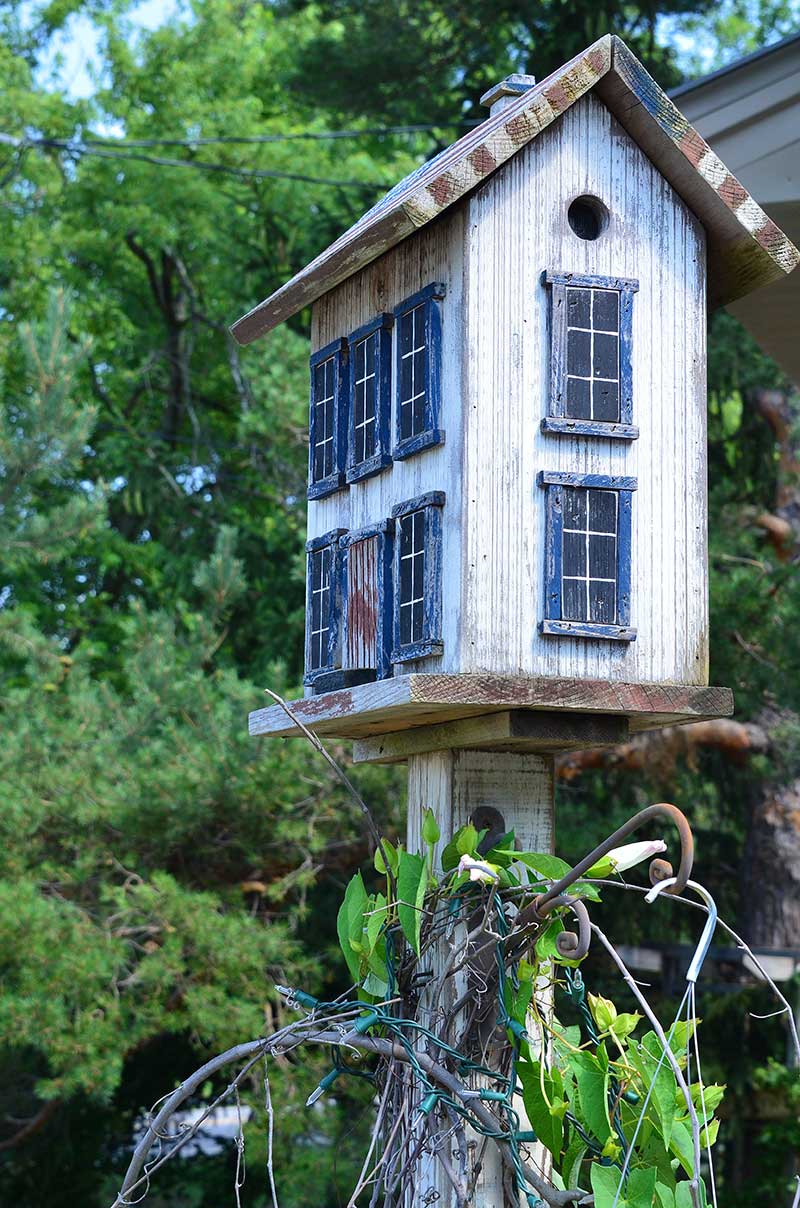 Bird In Everything Garden Birdhouse