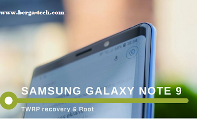 Guide To Install TWRP recovery and Tutorial Root Samsung Galaxy Note 9 (Exynos)