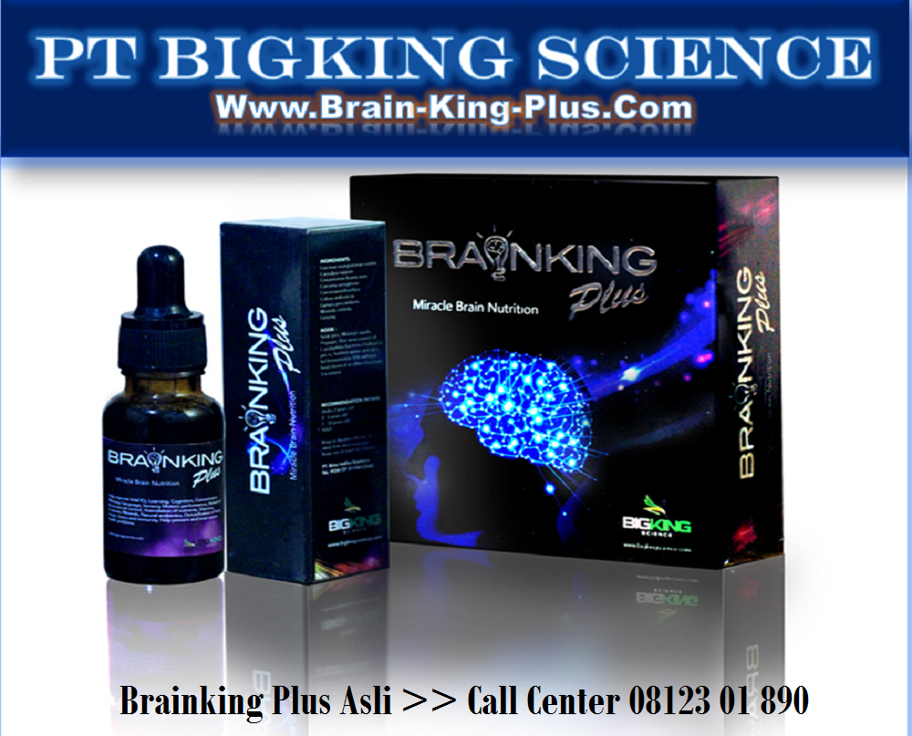 brainking plus brainking plus pusat manfaat brainking brainking plus brainking plus pusat manfaat brainking