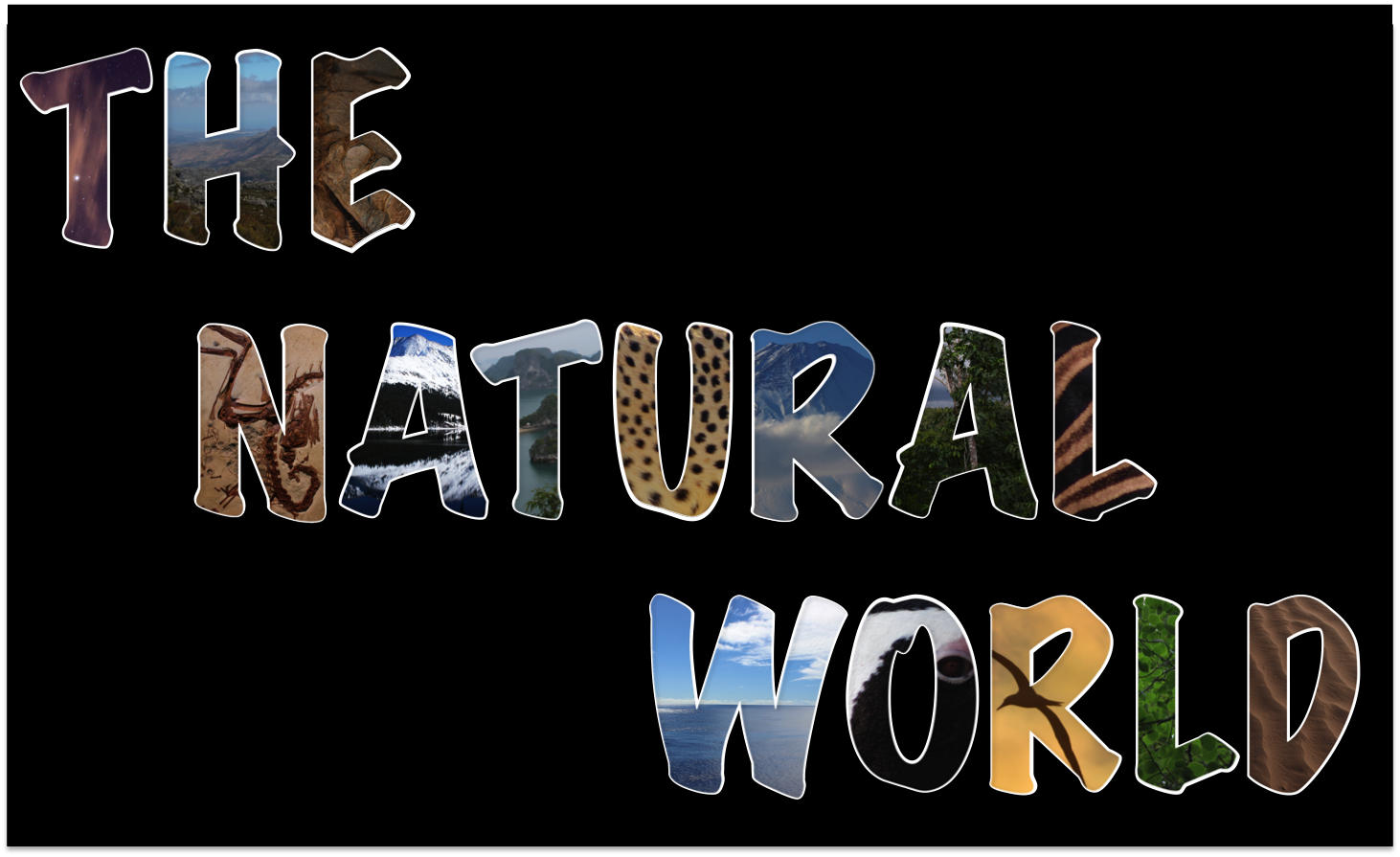 The Natural World Has Moved!