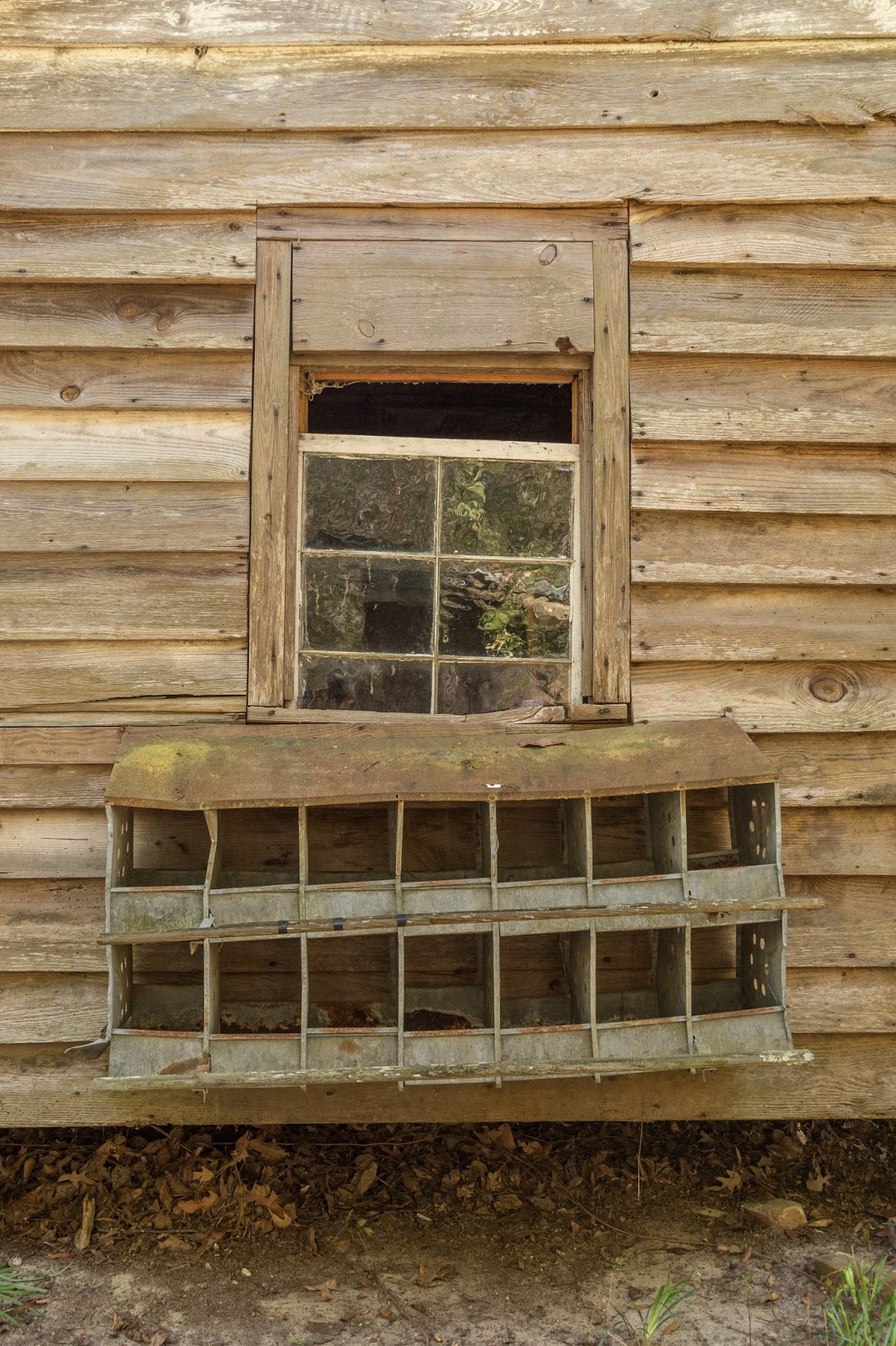 Charleston Daily Photo April 2018