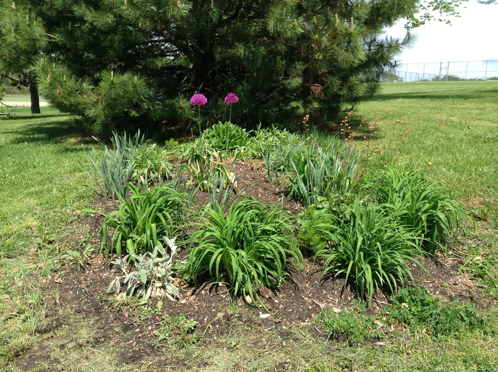 Highland Heights Neighborhood Association