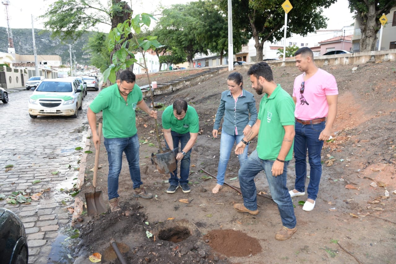 Prefeitura de Jacobina realiza plantio de Ipês no Caminho das Árvores