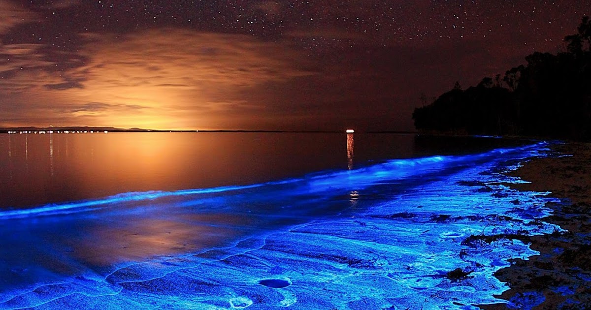 Glowing bioluminisant beach in Maldives - KNUDGE FACTORY