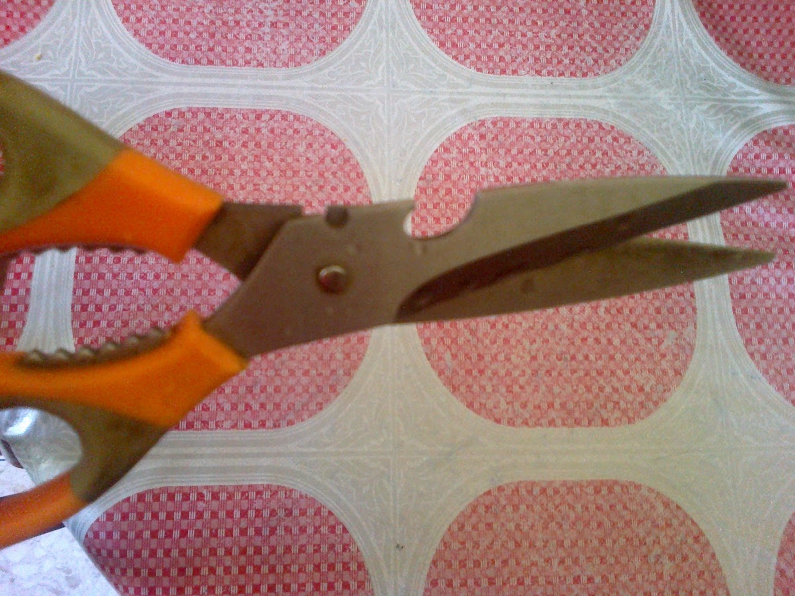gunting dapur