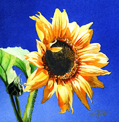 sunflower watercolor realism contemporary