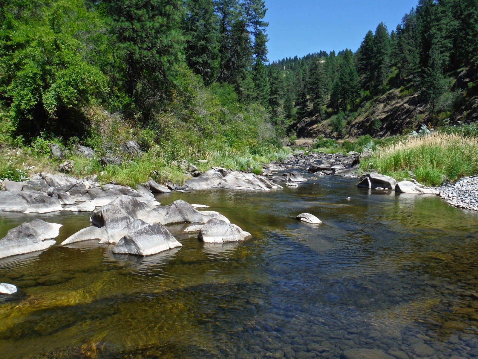 Erik’s Fly Fishing Blog A Small Creek Near Lewiston