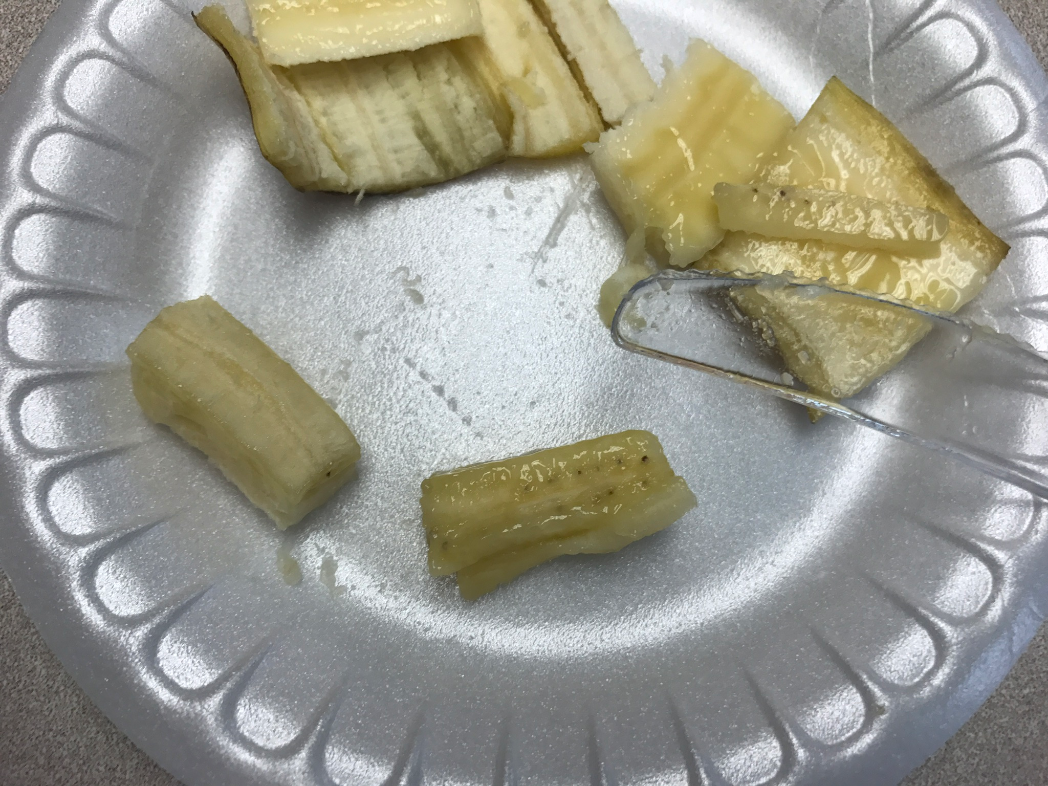 Creepy Dreadful Wonderful Parasites Answer to Case 468