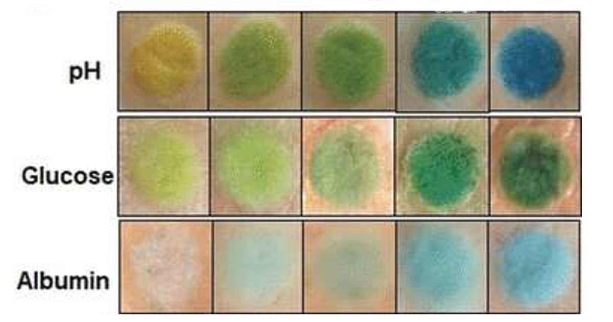 Color-Changing Tattoos Might Change How We Monitor Health Issues Color-Changing Tattoos Might Change How We Monitor Health Issues