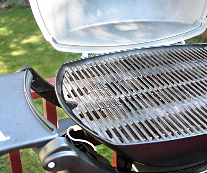 Andrea's Easy Vegan Cooking The vegan grillers