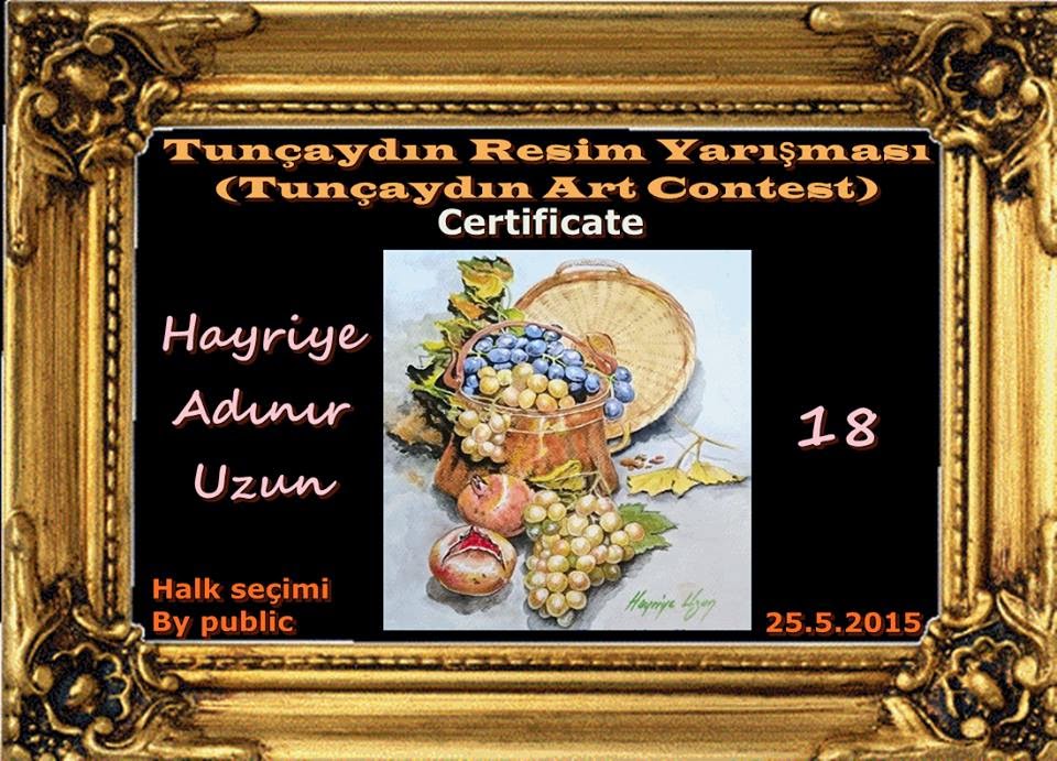 MAYRI HAYRIYE�NIN RENKLERI SULUBOYA ÇALIŞMALARIM 2015/1
