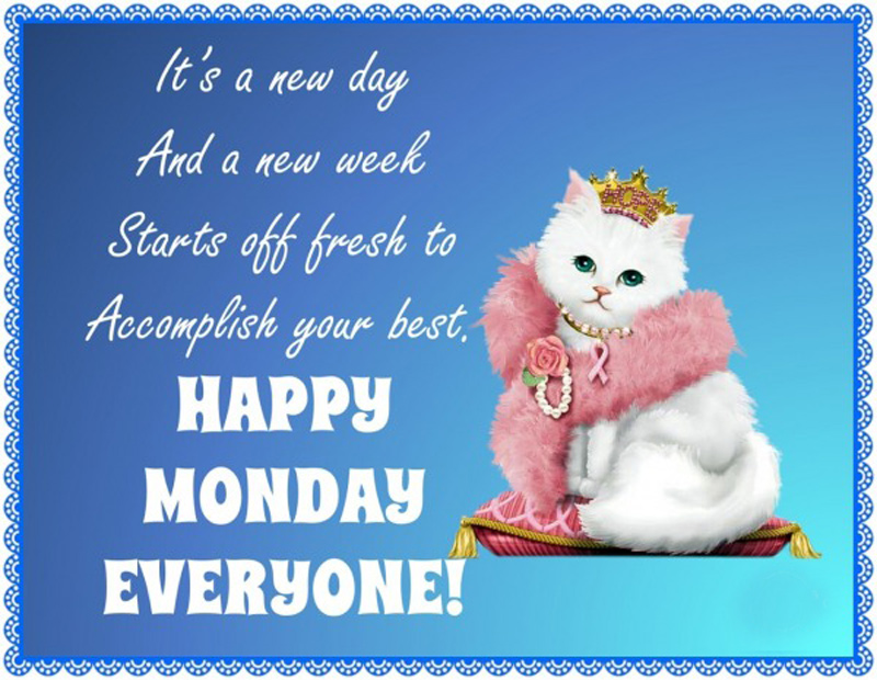 Happy Monday Wishes, Funny Messages, Monday Quotes Funny Happy Monday Wishes, Funny Messages, Monday Quotes Funny