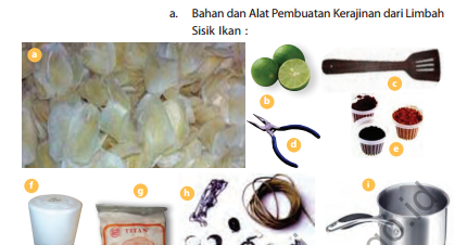 Hasil gambar untuk bahan kerajinan sisik ikan