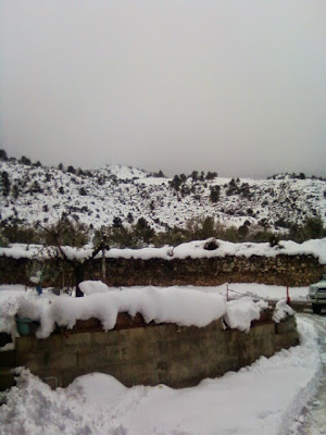 clima, Beceite, nieve, frío, nevada, está nevando, Beseit, neu, olivares,finca