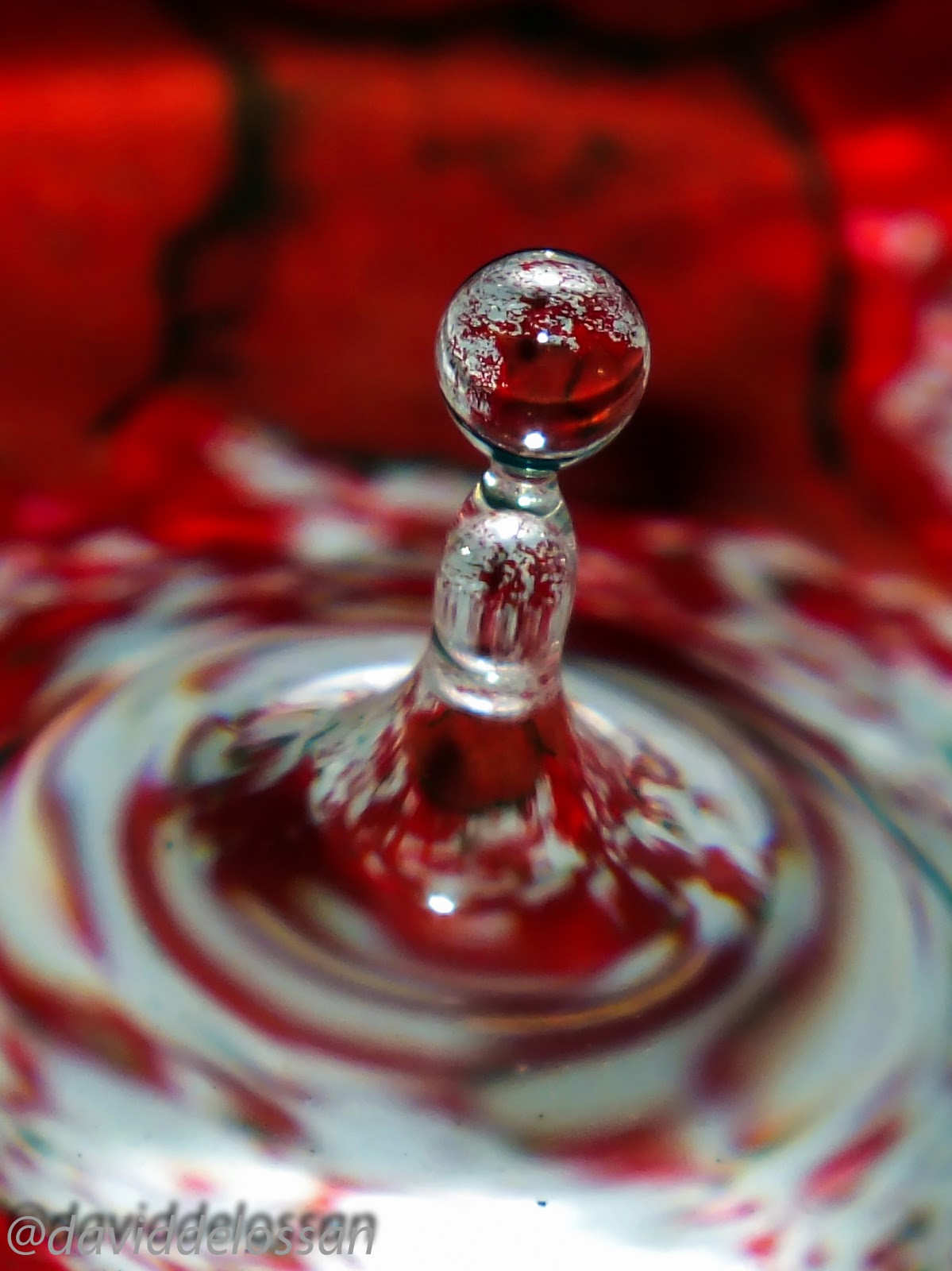 Fotografía de un aficionado: marzo 2013