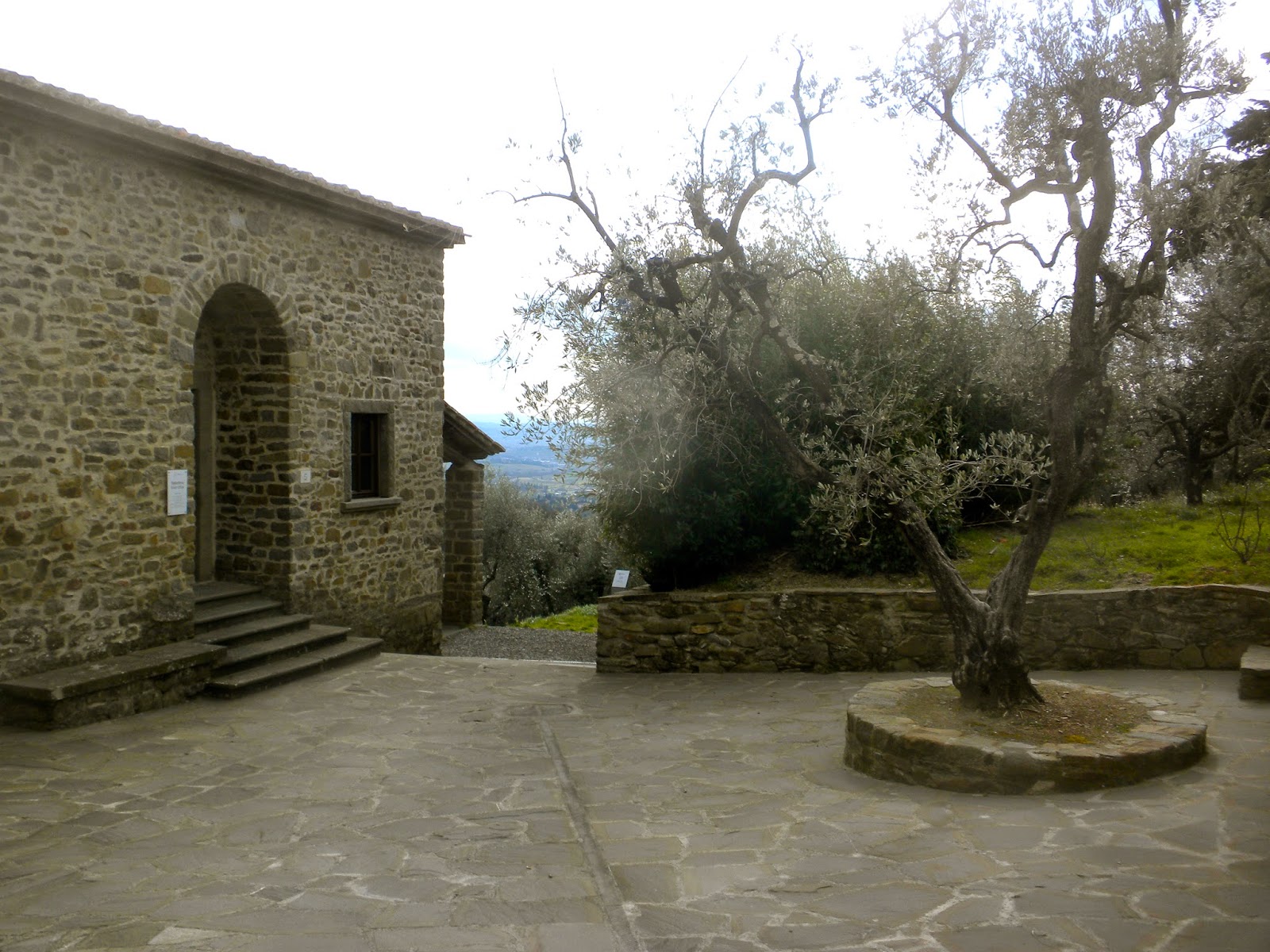 Leonardo da Vinci threshing floor