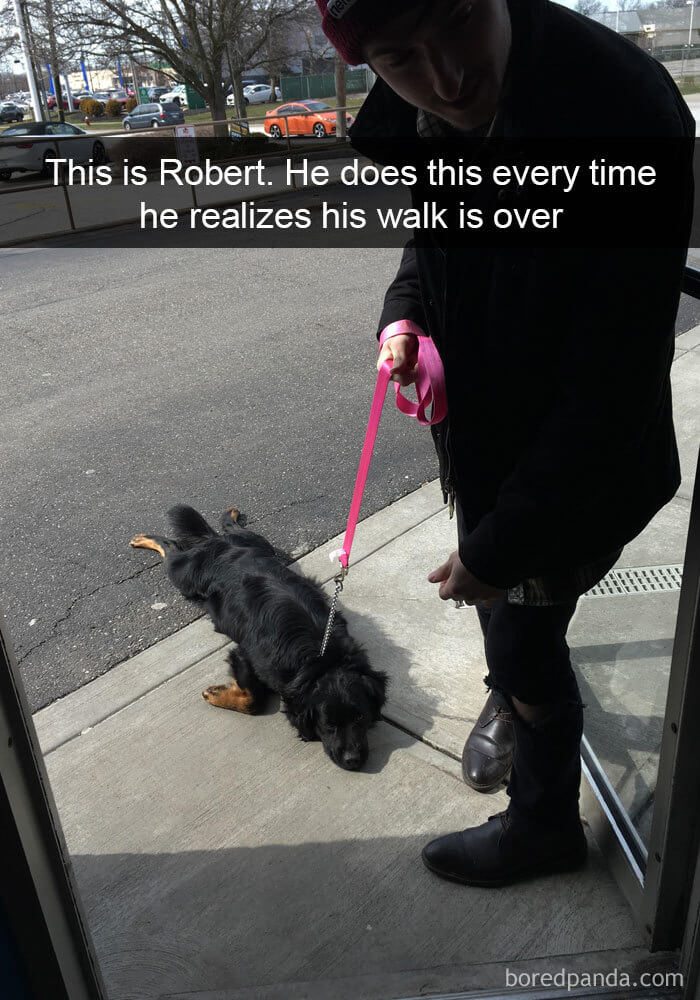 These Are The 30 Funniest Dog Snapchats We Have Ever Seen