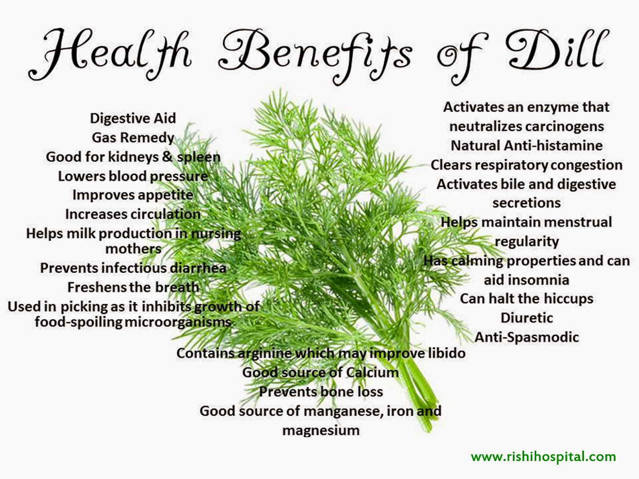 Rishi Ayurveda Hospital and Research Centre: Health Benefits Of Dill
