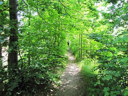 Wał nad fosą przy murach Twierdzy Srebrnogórskiej.