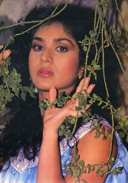 Meenakshi Sheshadri Wallpaper Meenakshi Sheshadri Wallpaper