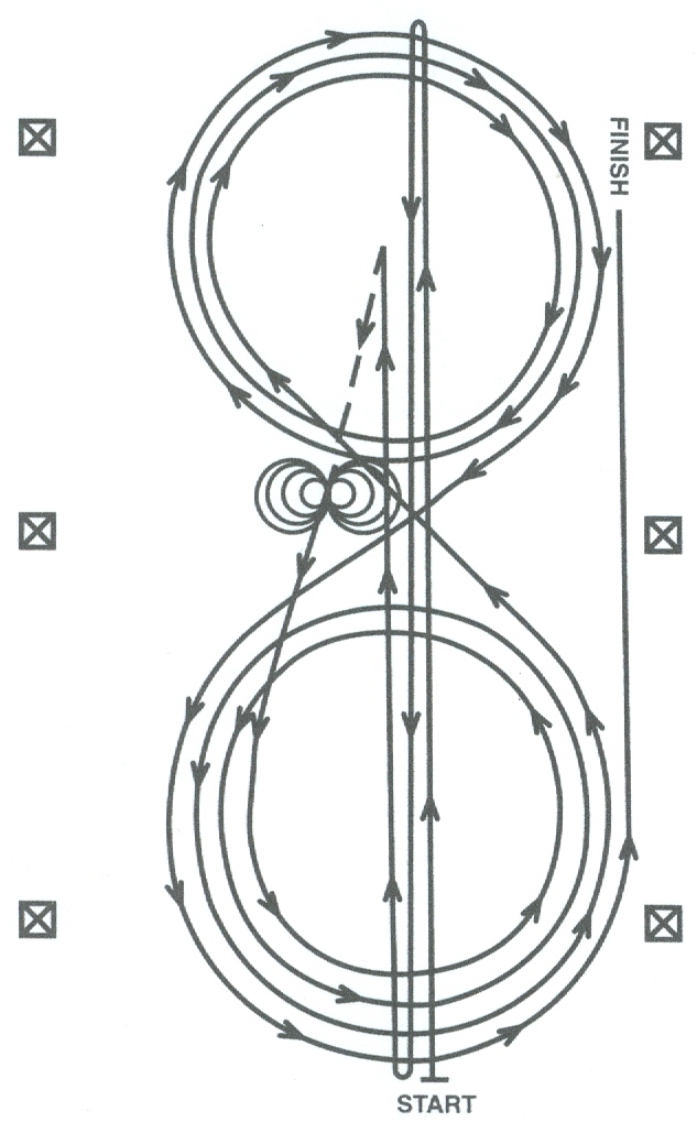 ARER Associazione Reining EmiliaRomagna I PATTERN