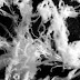 Angel Hair Phenomenon