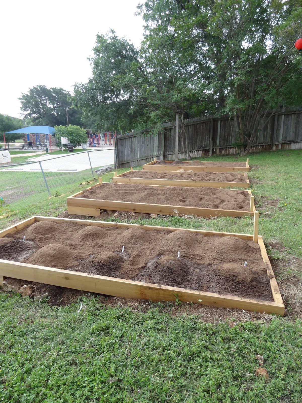 Rebecca's Texas Garden Building Raised Garden Beds
