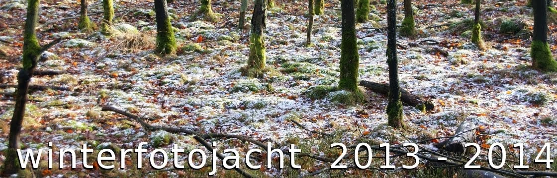 winterfotojacht 2013-2014