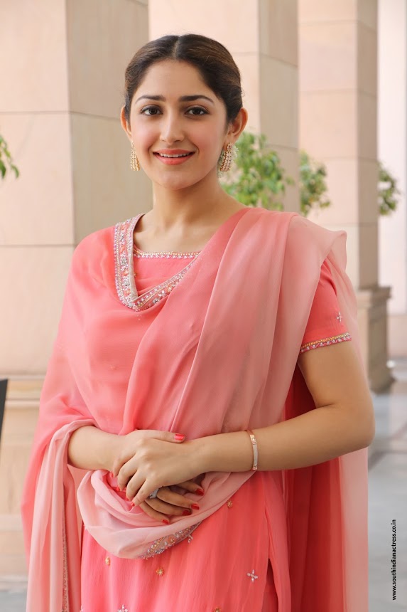Sayyeshaa Saigal at Kadaikutty Singam Success Meet