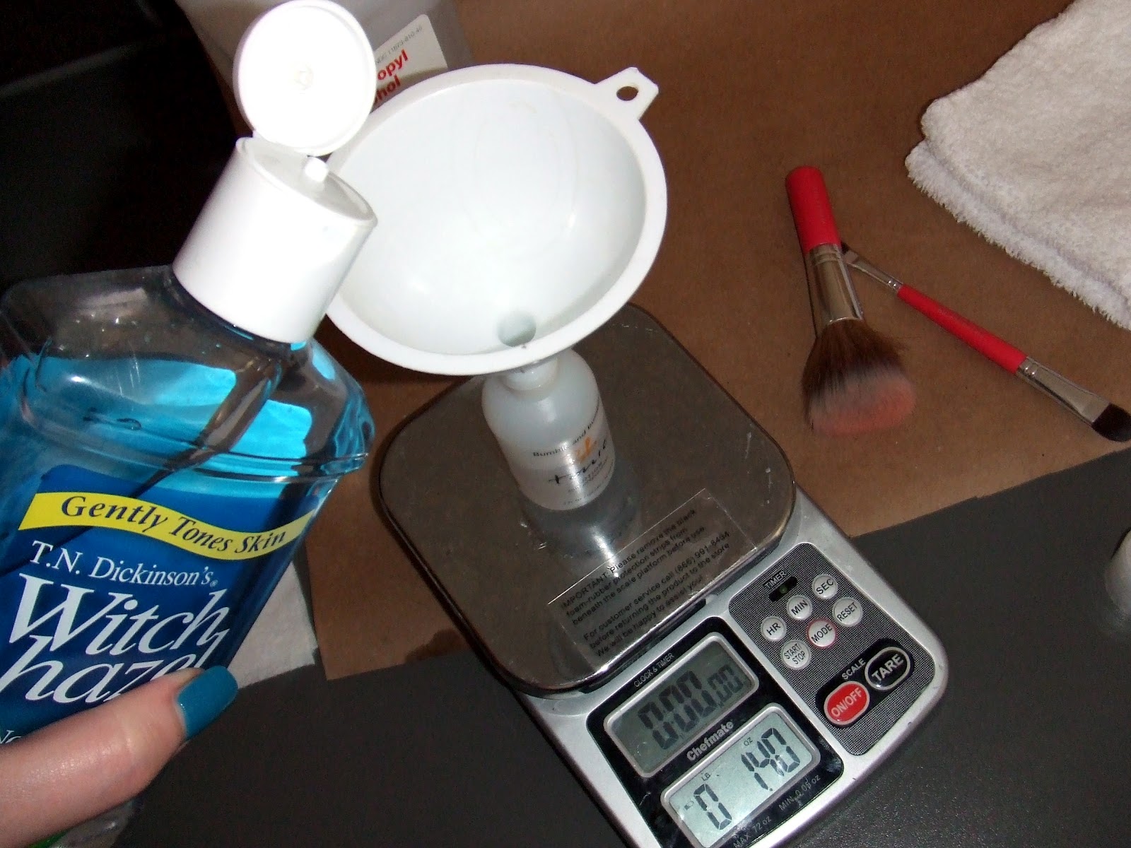 DIY Daily Brush Cleaner Pretty Girl Science