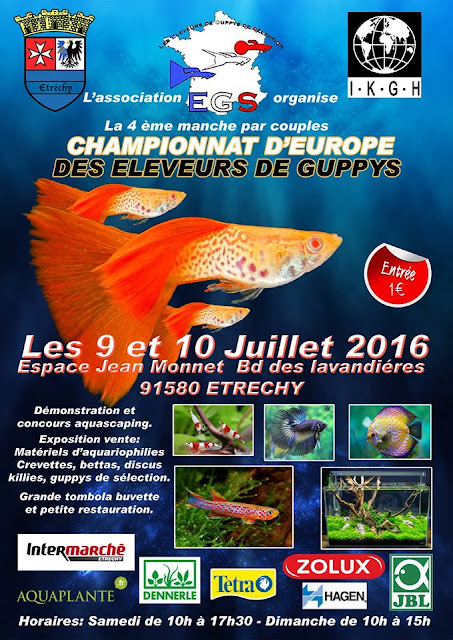 Etrechy (91)  9 et  10 Juillet 2016 Championnat-de-france-deurope-de-guppys