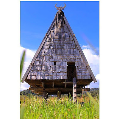 Desain Rumah Adat Sulawesi Tengah Desain Rumah Adat Sulawesi Tengah