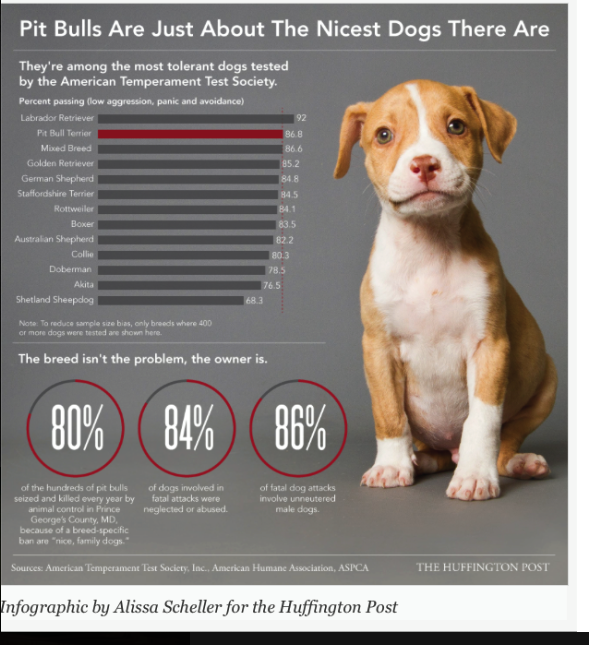 Pit Bulls Are Just About The Nicest Dogs There From Nicest Dogs There Are From