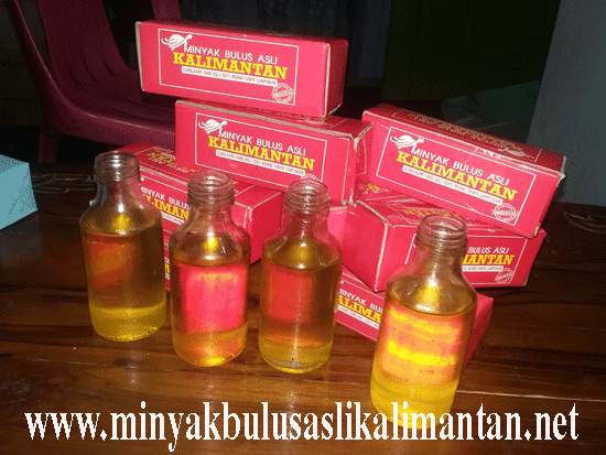 Manfaat minyak bulus untuk wanita Manfaat minyak bulus untuk wanita