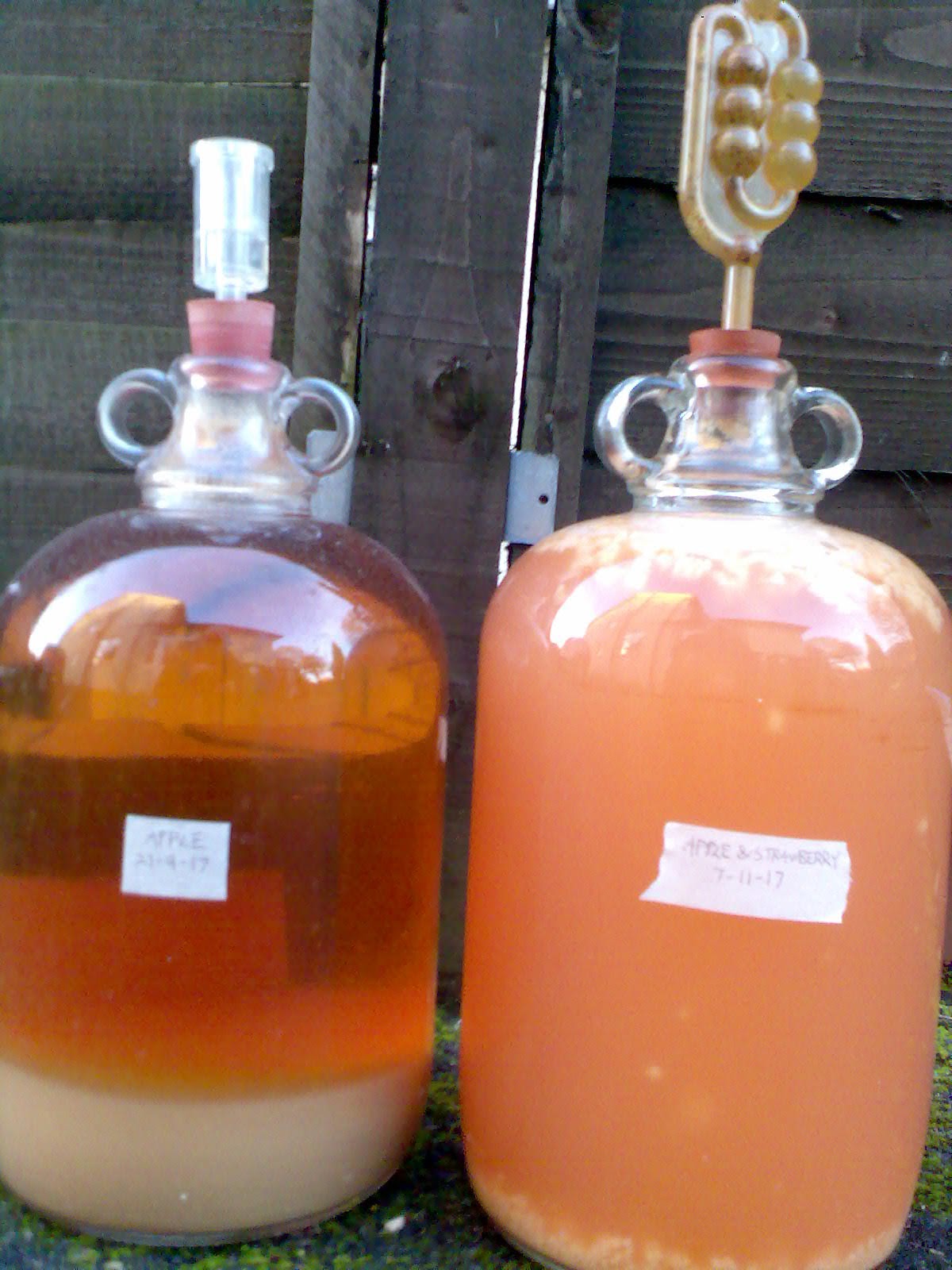 Ben's Adventures in Wine Making Apple Wine and Apple & Strawberry Wine