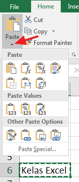 Paste Special Excel