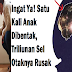 Ingat'Lah Saudara-Saudaraku..!!! "Mengerikan" Satu Kali Anak Di Bentak, Triliunan Sel Otak'Nya Rusak, Dan Berikut 7 Bahaya Yang Di Timbulkan Pada Anak : Tolong Bantu SHARE agar Banyak Orang Tua Yang Tau ..!!!!!