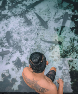 penangkaran hiu karimunjawa
