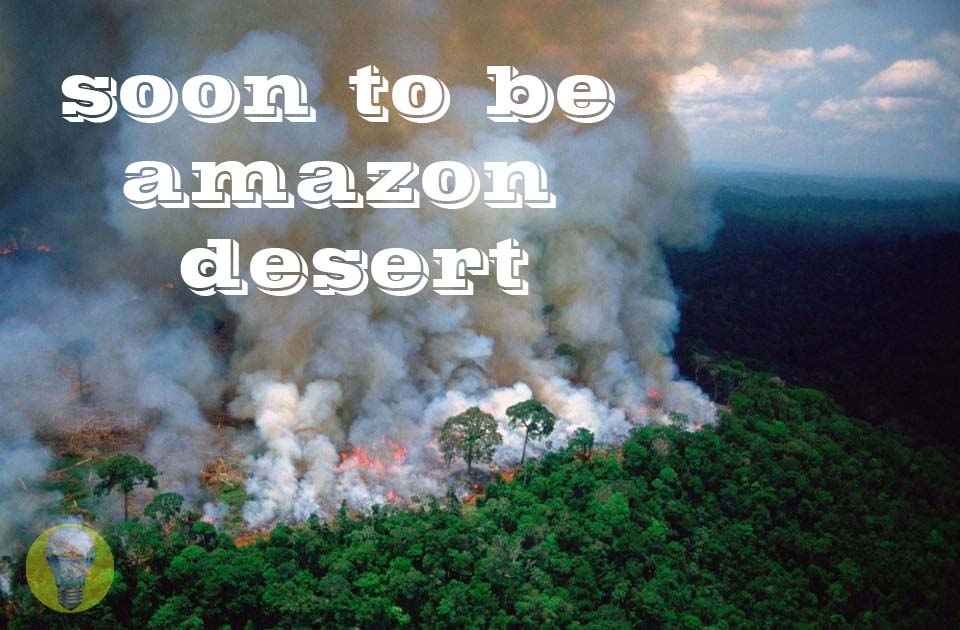 The Amazon Rainforest Is BURNING DOWN The Amazon Rainforest Is BURNING DOWN