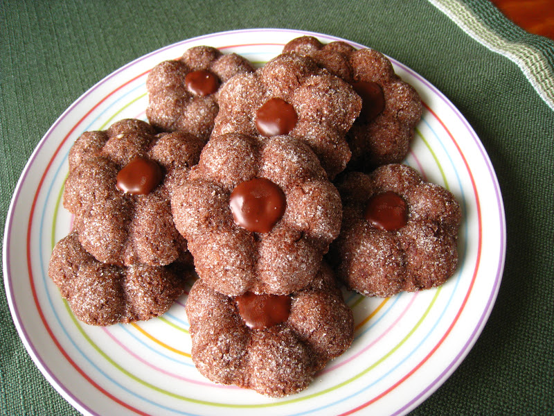 Kazuo: Sieferts Bärentatzen