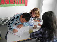 C.E.I.P. "LAS ERAS": DEPURADORA CASERA