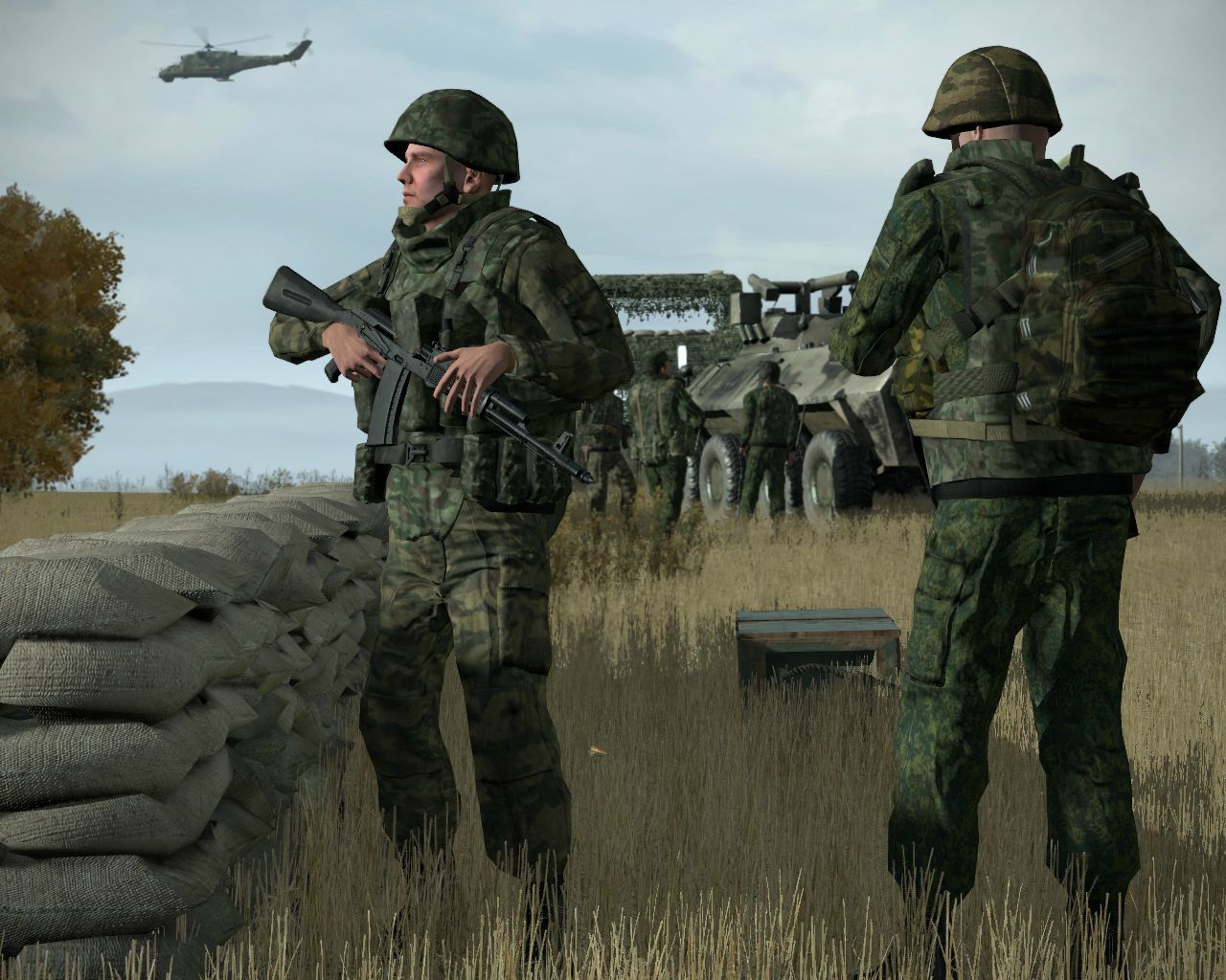 Mechanized infantry battalion organization Mechanized infantry battalion organization